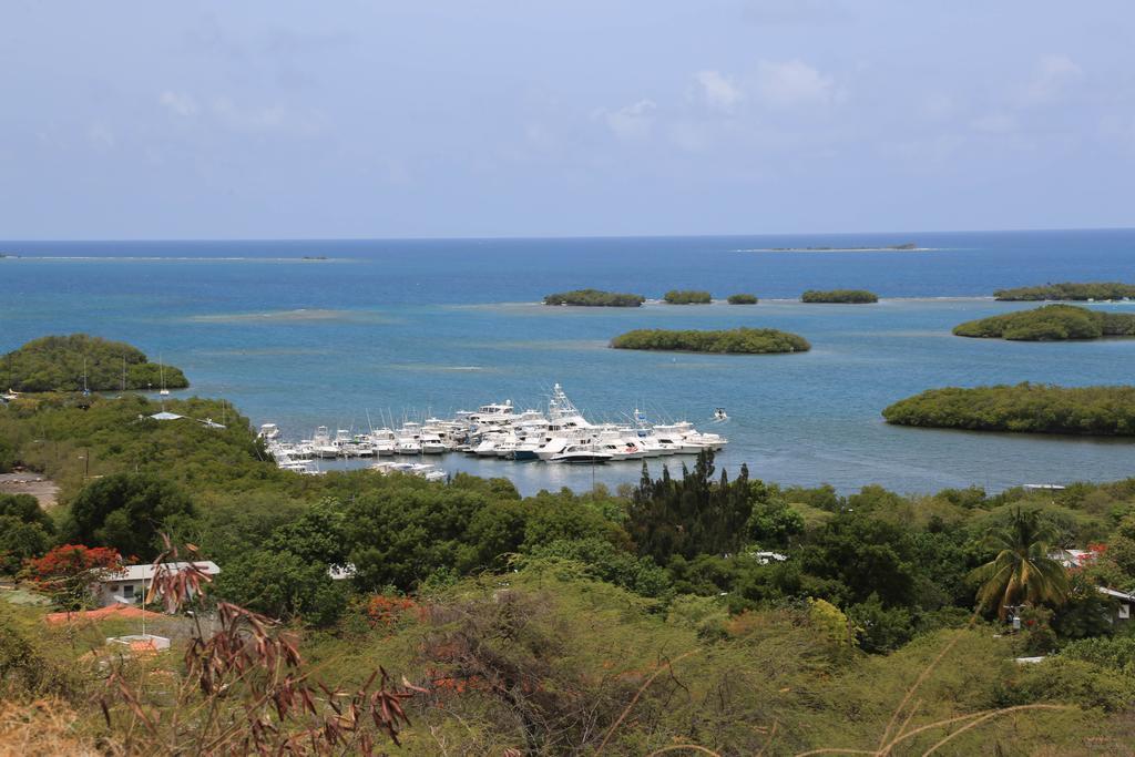 Parador Turtle Bay Inn Ла Паргера Екстериор снимка